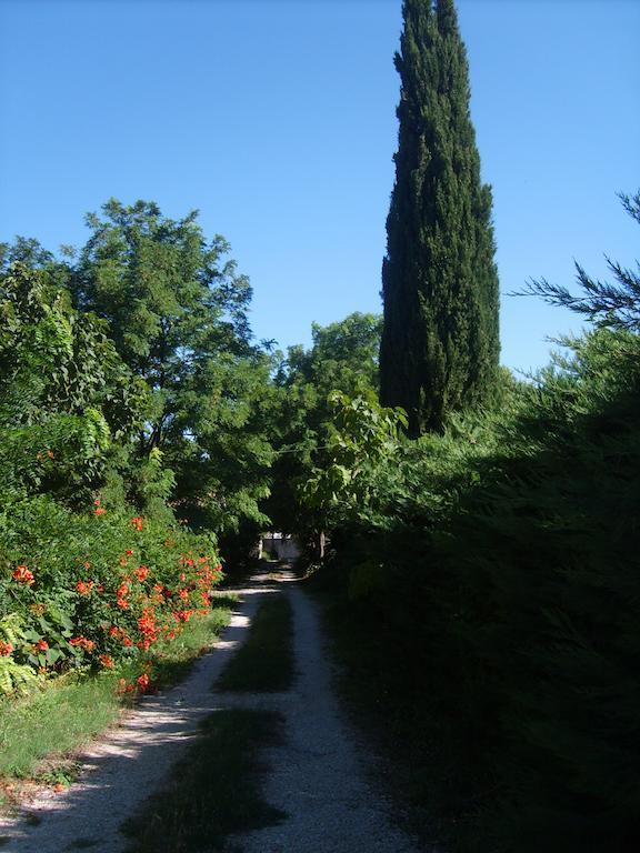 Le Clos Martin Eyragues Esterno foto